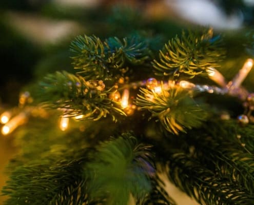 NFPA Encourages Prompt Disposal of Christmas Trees and Safe Removal of Lights