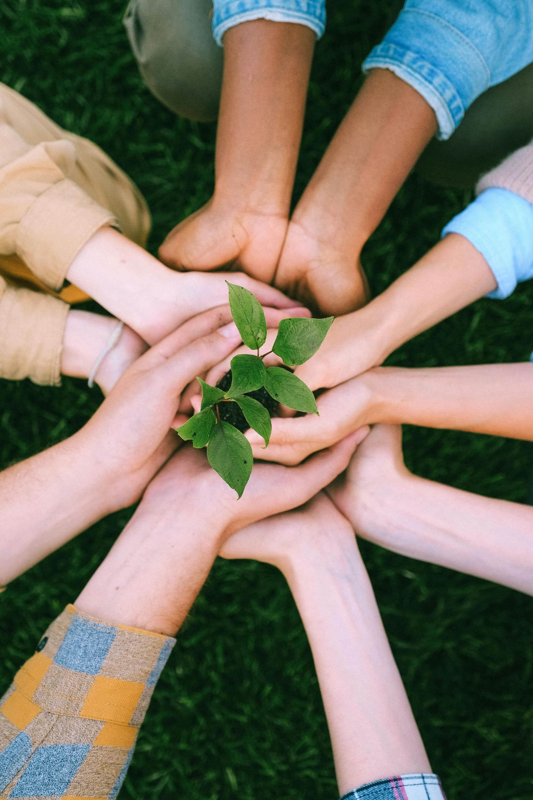 Community Hands